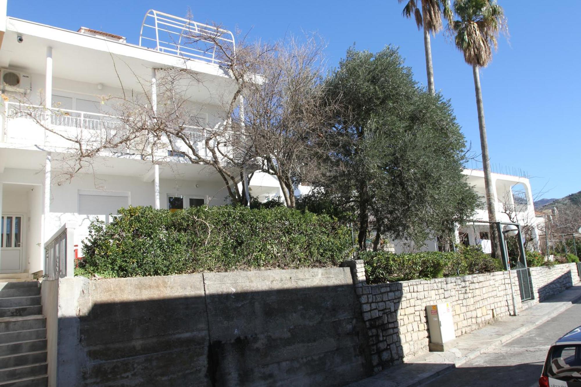 Apartments Popovic Petrovac Kültér fotó