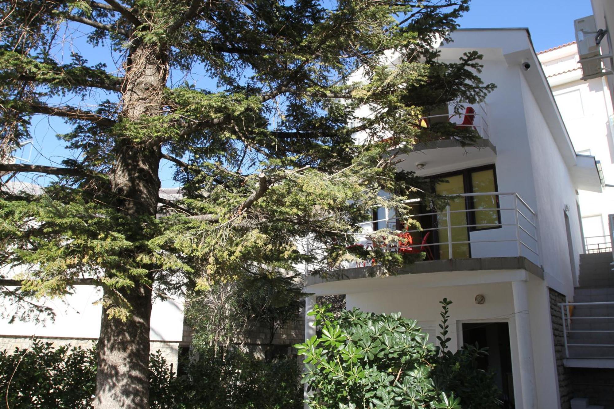 Apartments Popovic Petrovac Kültér fotó